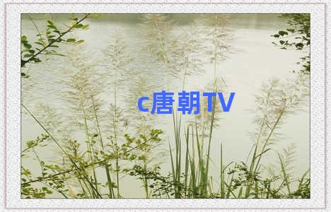 c唐朝TV