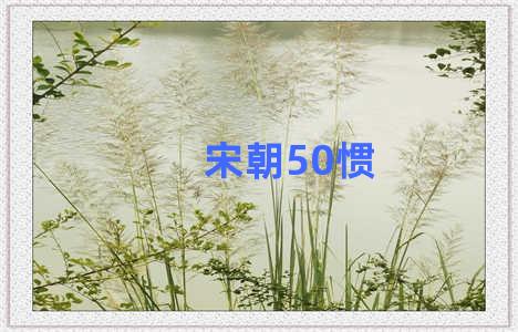 宋朝50惯